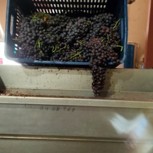 Akritos Oinos Winery